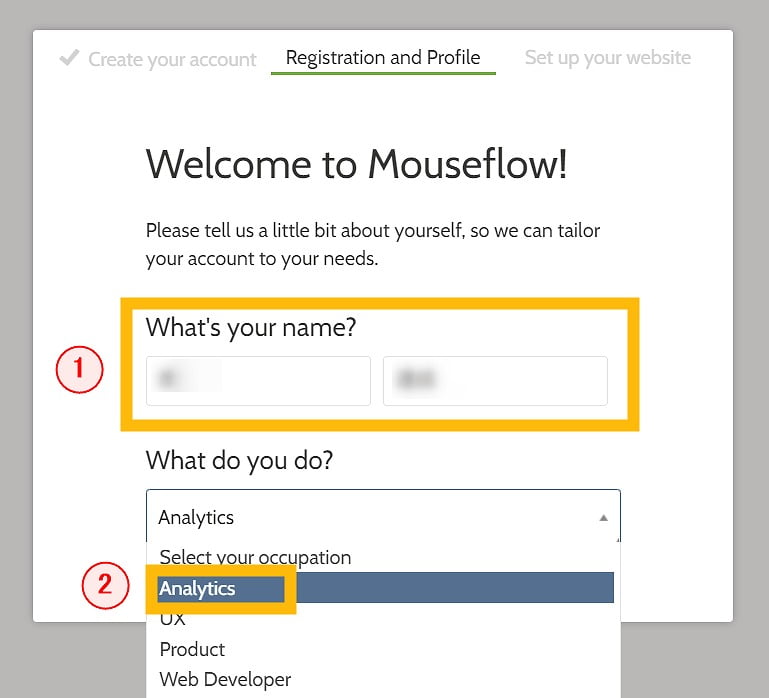 Mouseflowに氏名と目的を入力する画面